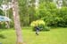 swedish_vacation661