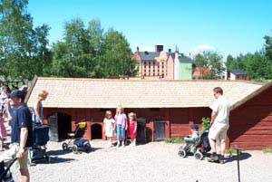 swedish_vacation682